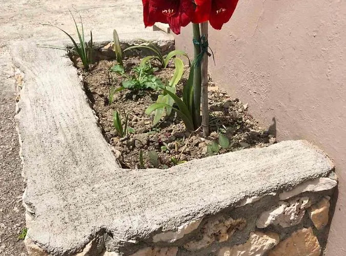 Katerina Lägenhet *